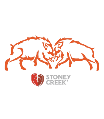 Boars Fighting Vinyl Decal - 150mm