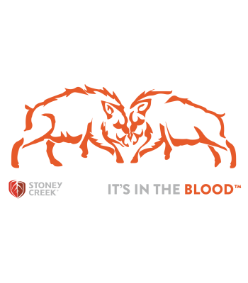 Boars Fighting Vinyl Decal - 350mm