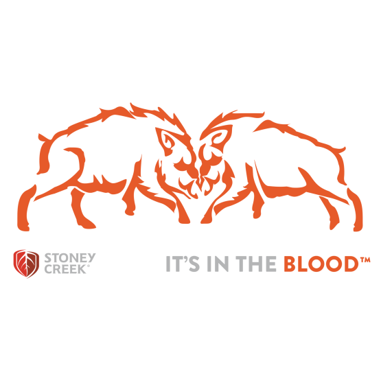 Boars Fighting Vinyl Decal - 500mm