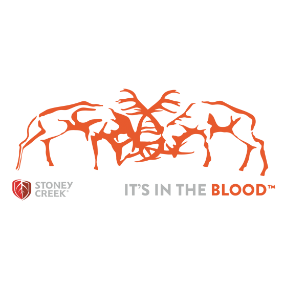 Stags Fighting Vinyl Decal - 500mm