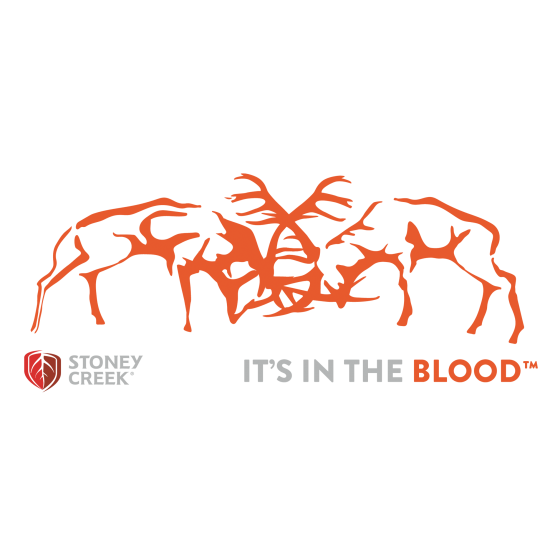 Stags Fighting Vinyl Decal - 350mm
