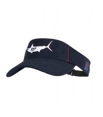 Blue Marlin Flybridge Visor