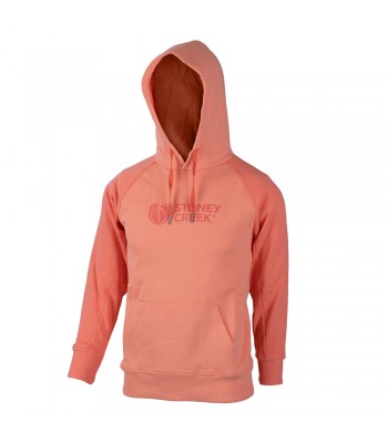 Kids Aspire Hoodie
