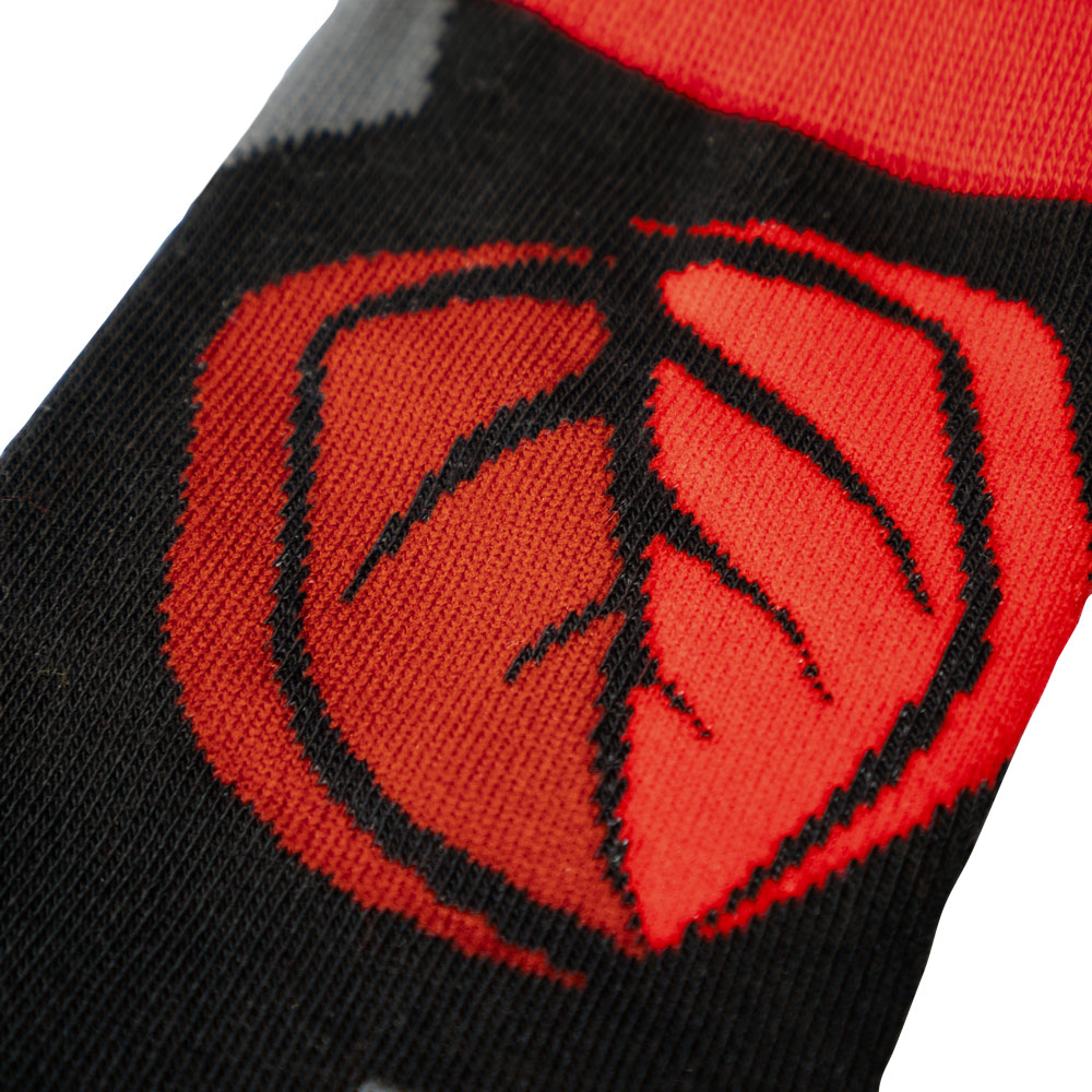 Legend 4 Pair Sock Pack