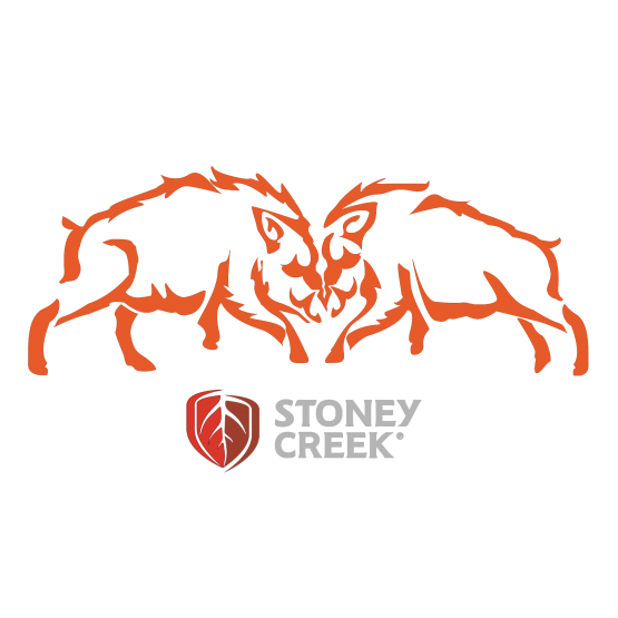 Boars Fighting Vinyl Decal - 150mm