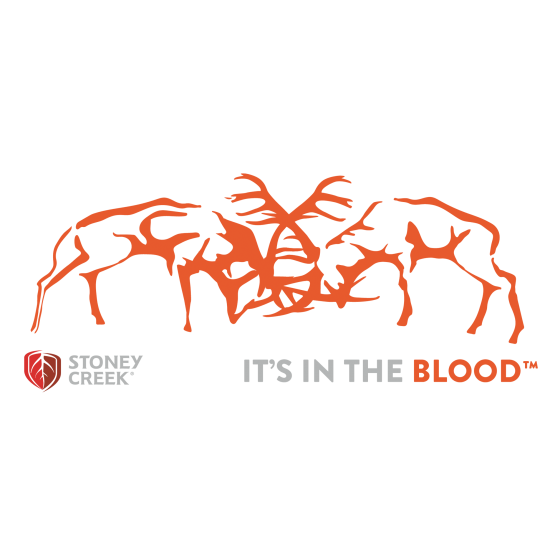 Stags Fighting Vinyl Decal - 500mm